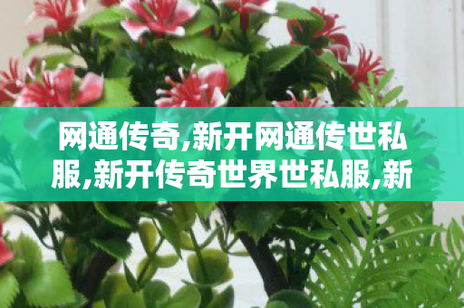 网通传奇,新开网通传世私服,新开传奇世界世私服,新开网通传世私服