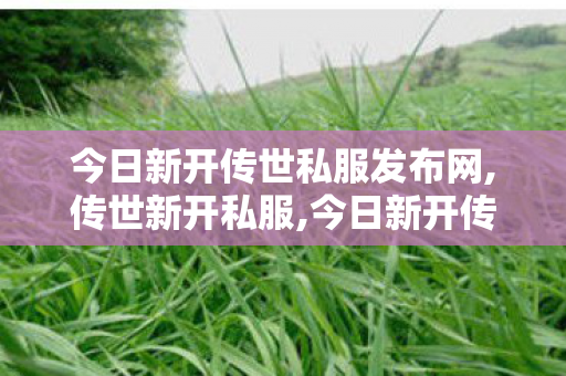 今日新开传世私服发布网,传世新开私服,今日新开传世sf网,传世新开私服