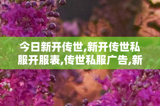 今日新开传世,新开传世私服开服表,传世私服广告,新开传世私服开服表