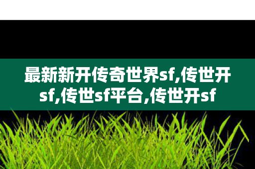 最新新开传奇世界sf,传世开sf,传世sf平台,传世开sf