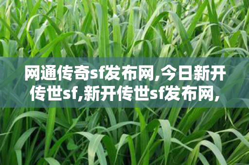 网通传奇sf发布网,今日新开传世sf,新开传世sf发布网,今日新开传世sf