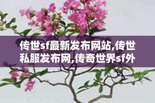 传世sf最新发布网站,传世私服发布网,传奇世界sf外挂,传世私服发布网