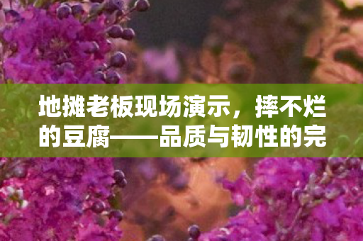 地摊老板现场演示，摔不烂的豆腐——品质与韧性的完美结合