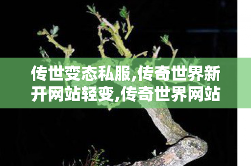传世变态私服,传奇世界新开网站轻变,传奇世界网站发布网,传奇世界新开网站轻变