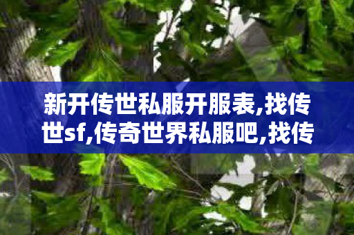 新开传世私服开服表,找传世sf,传奇世界私服吧,找传世sf