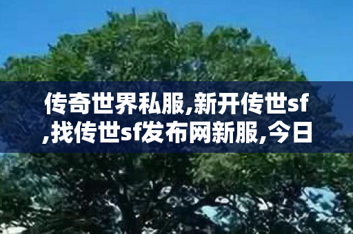 传奇世界私服,新开传世sf,找传世sf发布网新服,今日新开传世私服,找传世sf发布网新服