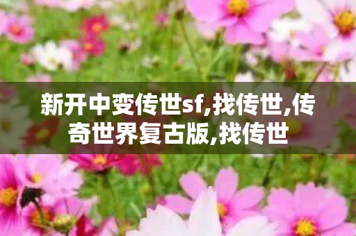 新开中变传世sf,找传世,传奇世界复古版,找传世
