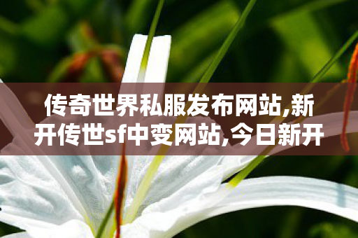传奇世界私服发布网站,新开传世sf中变网站,今日新开传世网,新开传世sf中变网站