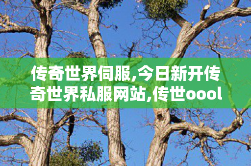 传奇世界伺服,今日新开传奇世界私服网站,传世oool,今日新开传奇世界私服网站