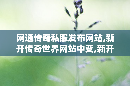 网通传奇私服发布网站,新开传奇世界网站中变,新开复古传奇世界私服,新开传奇世界网站中变