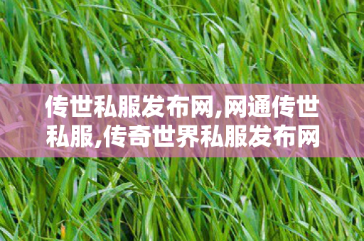 传世私服发布网,网通传世私服,传奇世界私服发布网,网通传世私服