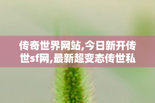 传奇世界网站,今日新开传世sf网,最新超变态传世私服,今日新开传世sf网