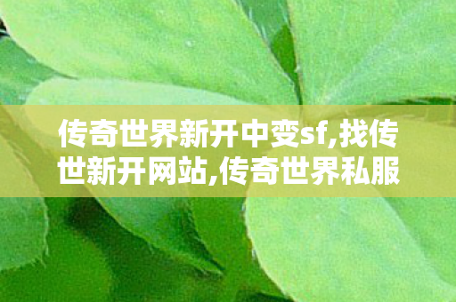 传奇世界新开中变sf,找传世新开网站,传奇世界私服,找传世新开网站