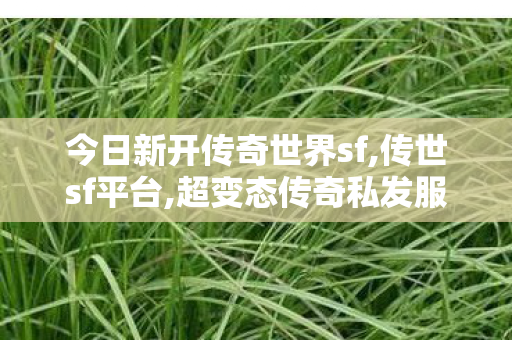 今日新开传奇世界sf,传世sf平台,超变态传奇私发服,传世sf平台