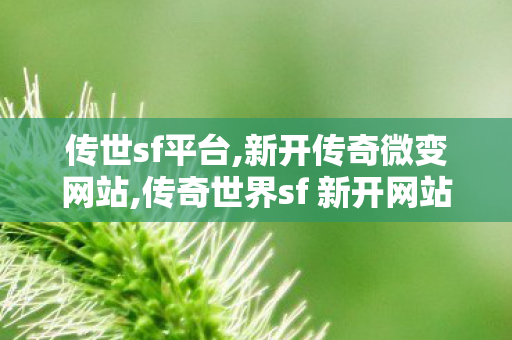传世sf平台,新开传奇微变网站,传奇世界sf 新开网站,新开传奇微变网站