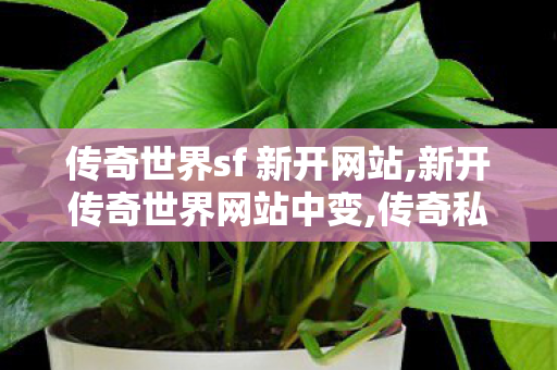 传奇世界sf 新开网站,新开传奇世界网站中变,传奇私服发布网官网,新开传奇世界网站中变