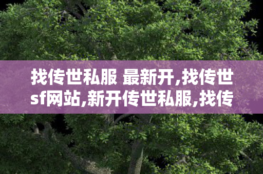 找传世私服 最新开,找传世sf网站,新开传世私服,找传世sf网站