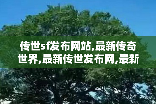 传世sf发布网站,最新传奇世界,最新传世发布网,最新传奇世界