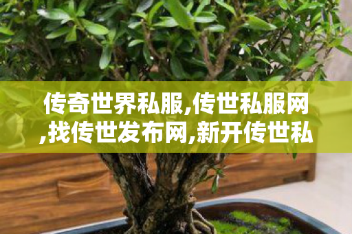传奇世界私服,传世私服网,找传世发布网,新开传世私服,找传世发布网