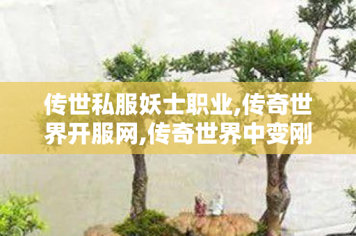 传世私服妖士职业,传奇世界开服网,传奇世界中变刚开一秒,传奇世界开服网