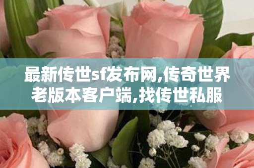 最新传世sf发布网,传奇世界老版本客户端,找传世私服 最新开,传奇世界老版本客户端