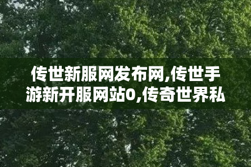 传世新服网发布网,传世手游新开服网站0,传奇世界私服,传世sf网站,传世手游新开服网站0
