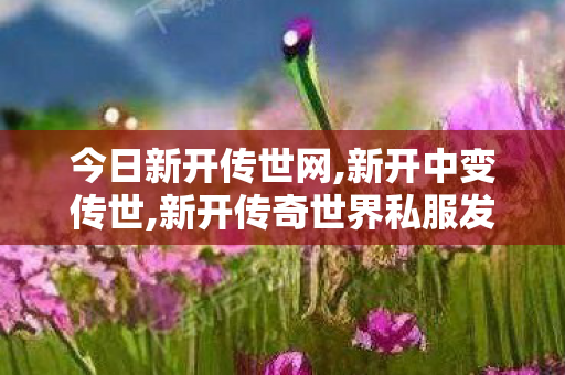 今日新开传世网,新开中变传世,新开传奇世界私服发布网,新开中变传世