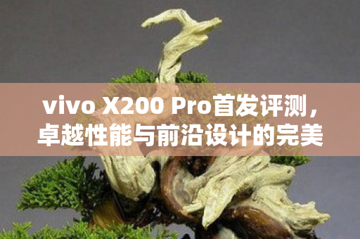 vivo X200 Pro首发评测，卓越性能与前沿设计的完美融合
