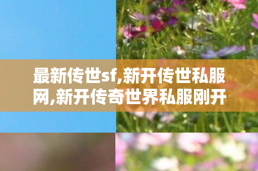 最新传世sf,新开传世私服网,新开传奇世界私服刚开一秒,新开传世私服网