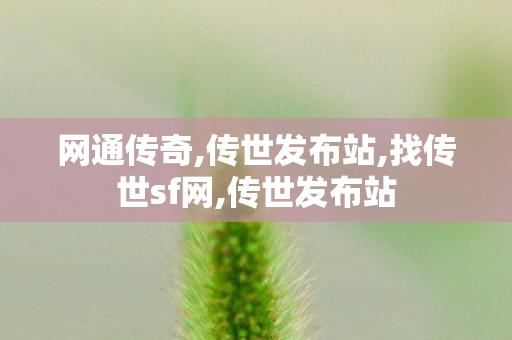 网通传奇,传世发布站,找传世sf网,传世发布站
