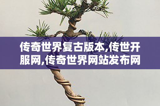 传奇世界复古版本,传世开服网,传奇世界网站发布网,传世开服网