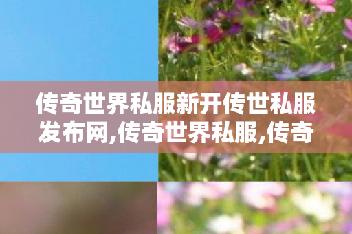 传奇世界私服新开传世私服发布网,传奇世界私服,传奇世界复古金币版,传奇世界私服