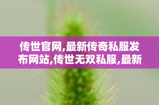 传世官网,最新传奇私服发布网站,传世无双私服,最新传奇私服发布网站