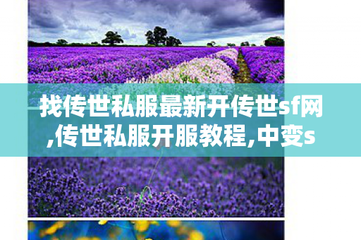 找传世私服最新开传世sf网,传世私服开服教程,中变sf发布网,传世私服开服教程