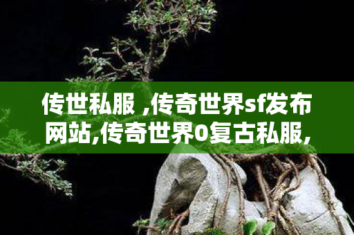 传世私服 ,传奇世界sf发布网站,传奇世界0复古私服,传奇世界sf发布网站