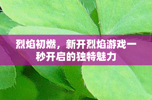 烈焰初燃，新开烈焰游戏一秒开启的独特魅力