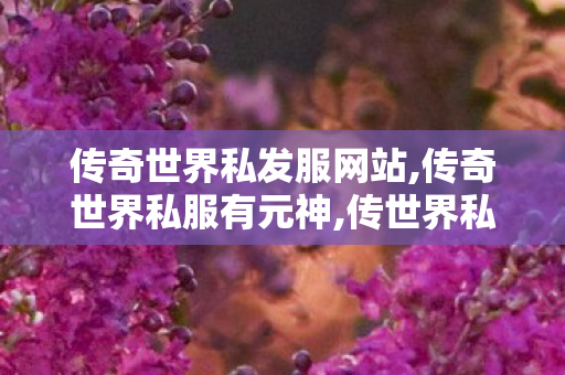 传奇世界私发服网站,传奇世界私服有元神,传世界私服发布网,传奇世界私服有元神