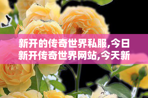 新开的传奇世界私服,今日新开传奇世界网站,今天新开传奇世界私服,今日新开传奇世界网站