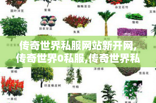 传奇世界私服网站新开网,传奇世界0私服,传奇世界私服,最新传世私服,传奇世界0私服