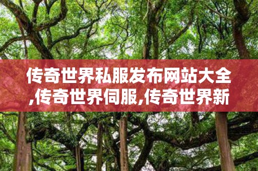 传奇世界私服发布网站大全,传奇世界伺服,传奇世界新开网站,传奇世界伺服
