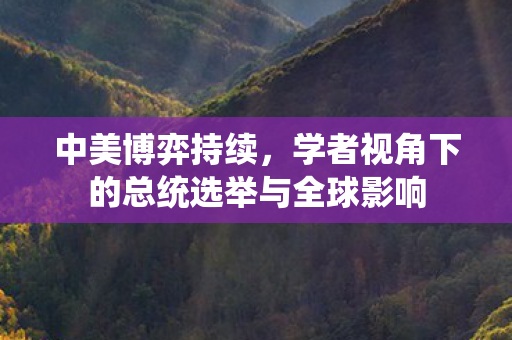 中美博弈持续，学者视角下的总统选举与全球影响