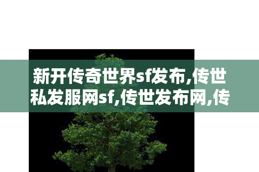 新开传奇世界sf发布,传世私发服网sf,传世发布网,传世私发服网sf