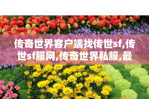 传奇世界客户端	找传世sf,传世sf服网,传奇世界私服,最新传奇世界sf,传世sf服网