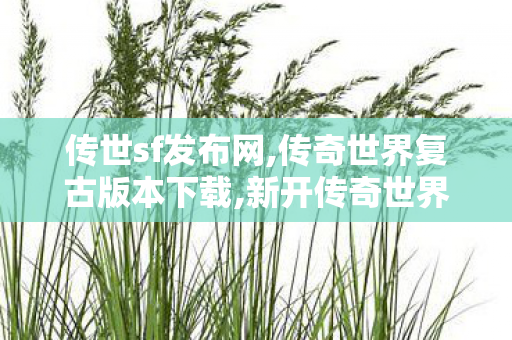 传世sf发布网,传奇世界复古版本下载,新开传奇世界sf,传奇世界复古版本下载