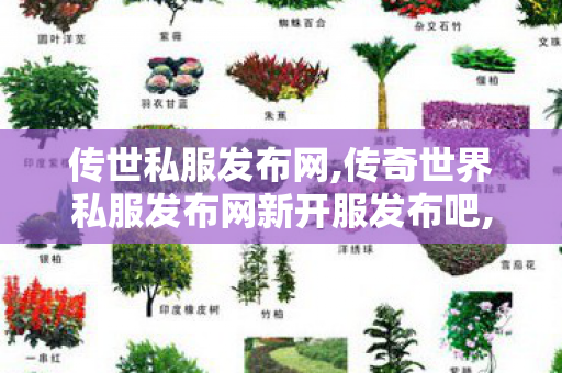 传世私服发布网,传奇世界私服发布网新开服发布吧,传奇世界sf网站大全,传奇世界私服发布网新开服发布吧