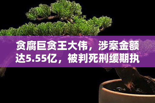 贪腐巨贪王大伟，涉案金额达5.55亿，被判死刑缓期执行