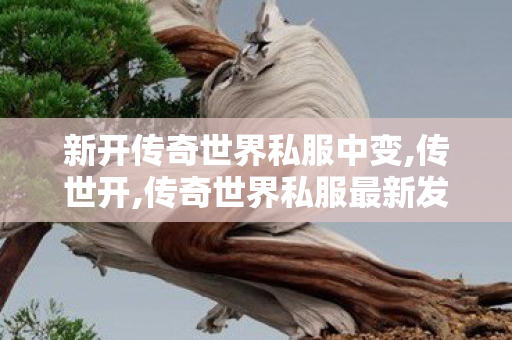 新开传奇世界私服中变,传世开,传奇世界私服最新发布网,传世开