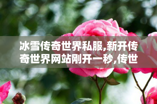 冰雪传奇世界私服,新开传奇世界网站刚开一秒,传世私服发布网,新开传奇世界网站刚开一秒