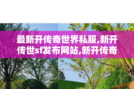 最新开传奇世界私服,新开传世sf发布网站,新开传奇中变sf网站,新开传世sf发布网站
