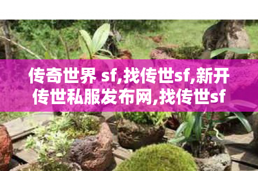 传奇世界 sf,找传世sf,新开传世私服发布网,找传世sf